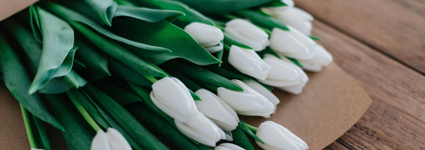 Varje vecka köper Bo blommor till Elin. Hälften får Elin och hälften får Bos maka Barbro i himlen.